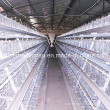 Système de Cage de poulet d’équipements de ferme avicole